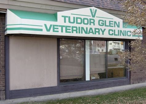 tudor glen veterinary hospital|rosslyn veterinary hospital.